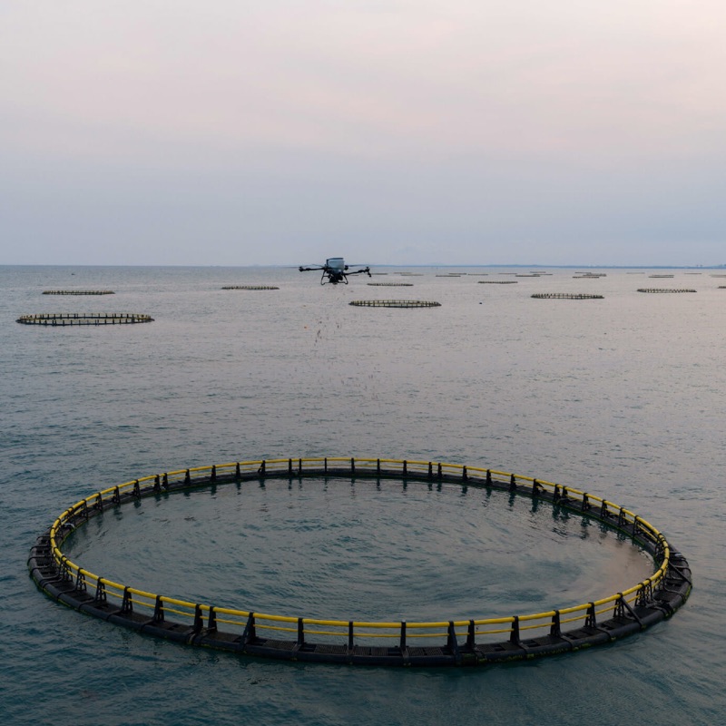 Mariculture